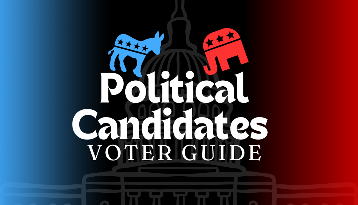 Political candidates voting guide