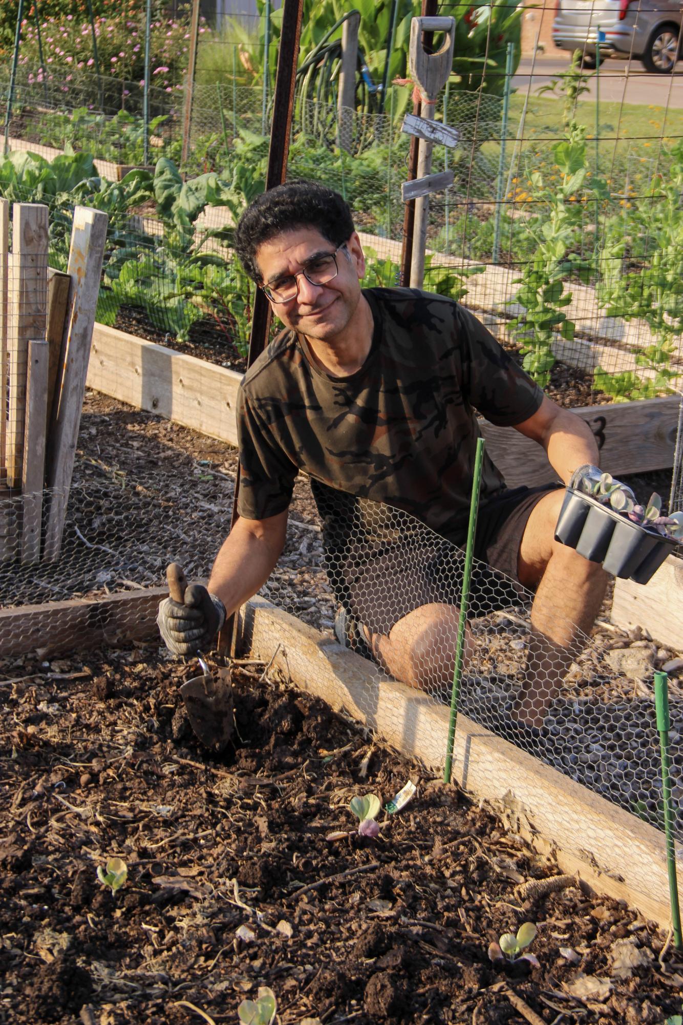 Helping Hands garden member Nitish Singh plants seeds in the Coppell Community Gardens on Oct. 5. Coppell Community Gardens has brought together residents who love gardening since 1998. 
