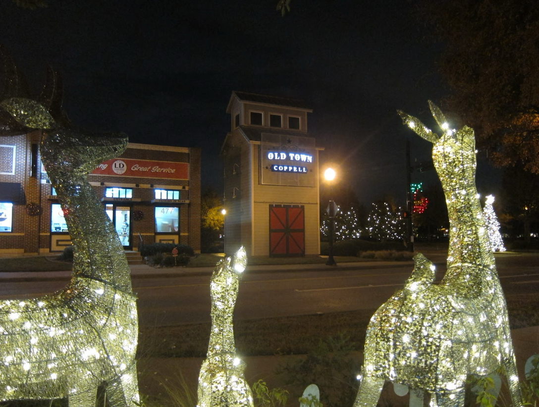 Lightened deer sculptures stand in front of shops at Old Town Coppell on Friday. Shops around Old Town spread holiday spirit with decorations throughout December.
Photo taken by Lily Ellison
