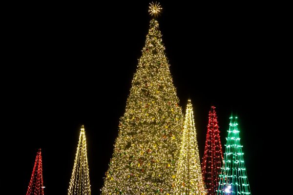 Coppell lights its Christmas tree at Andrew Brown Park East on Wednesday. The Holiday Tree Lighting and Drone Show is an annual event filled with holiday-themed activities. 