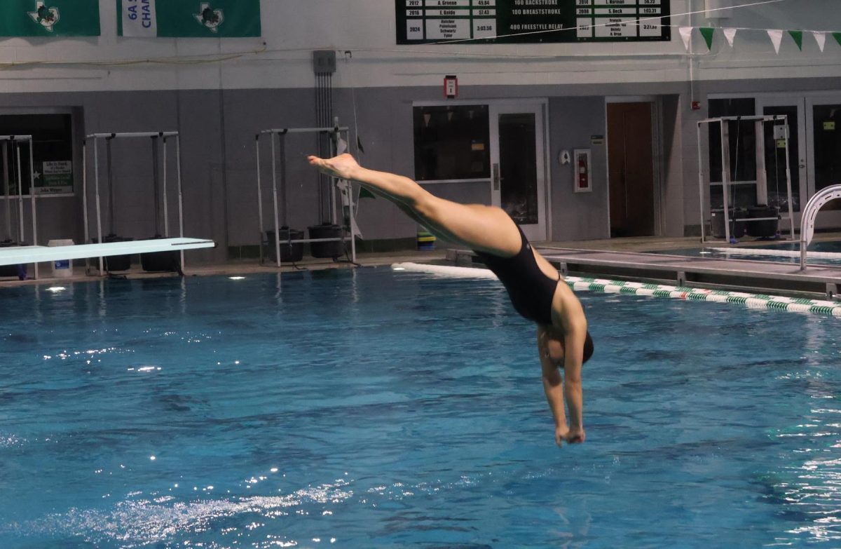 Coppell senior diver Auttumn Ayakawa dives into the pool at the Elise Cerami Aquatics Center in Southlake on Tuesday. Despite starting her diving journey late with no experience, Ayakawa has demonstrated incredible determination to be successful in diving. Photo by Kole Lokhande