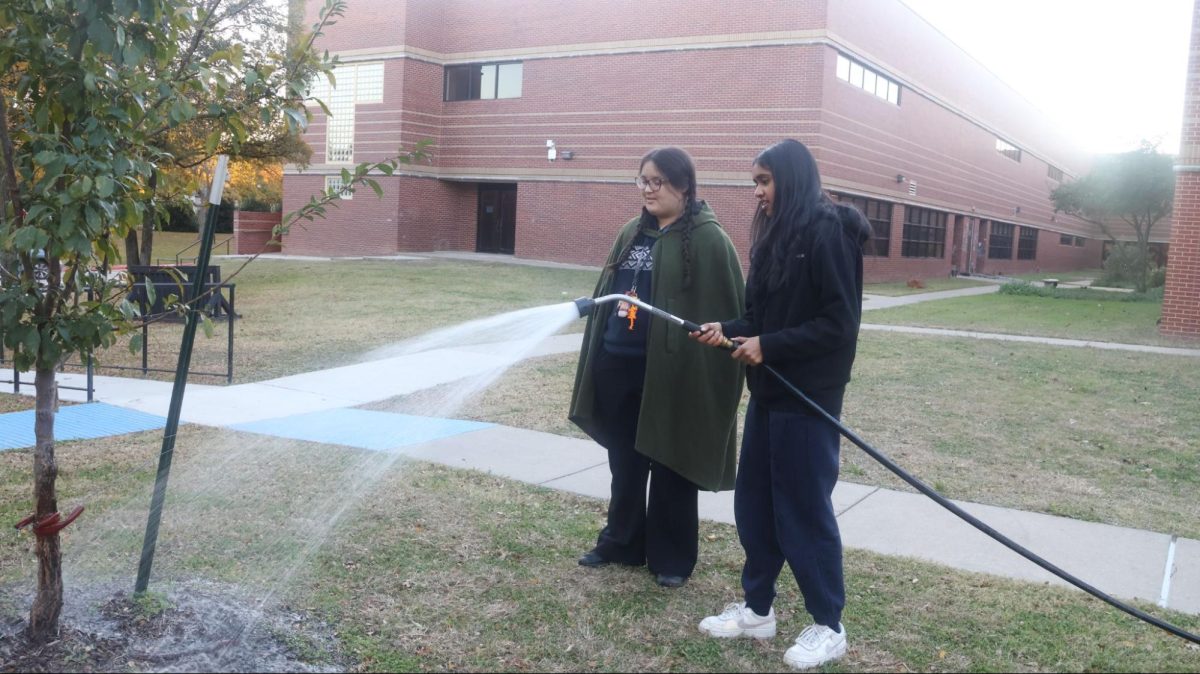 Coppell High School junior Adhira Pulasseri and senior Rachel Goodman water plants at the CHS garden on Dec. 11. CHS Eco Club grows fresh produce for the school. 