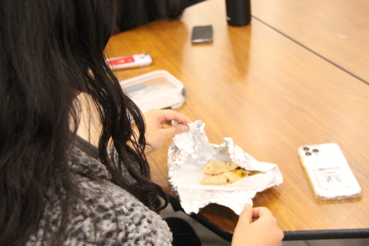 The Sidekick staff photographer Prisha Hooda eats lemon rice and chapati brought from home in the CHS cafeteria. Hooda thinks there should be less of a stigma around eating ethnic foods at school. Photo by Nyah Rama
