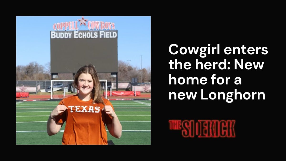 Cowgirl enters the herd: New home for a new Longhorn