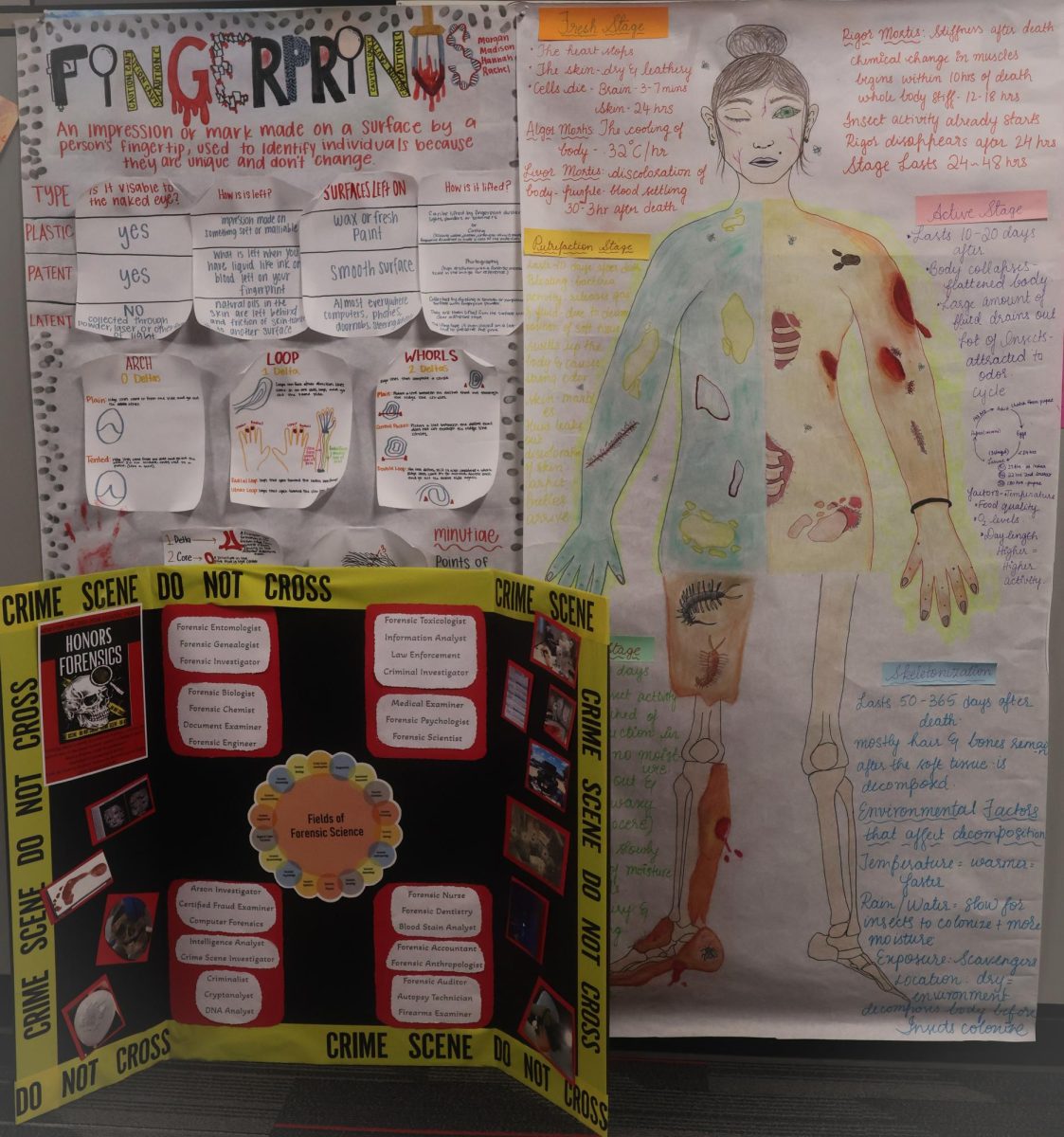 Forensic science teacher Catherine Murphy showcases her students'  projects. Honors Forensic Science is a new course which will start in the 2025-26 school year. 
