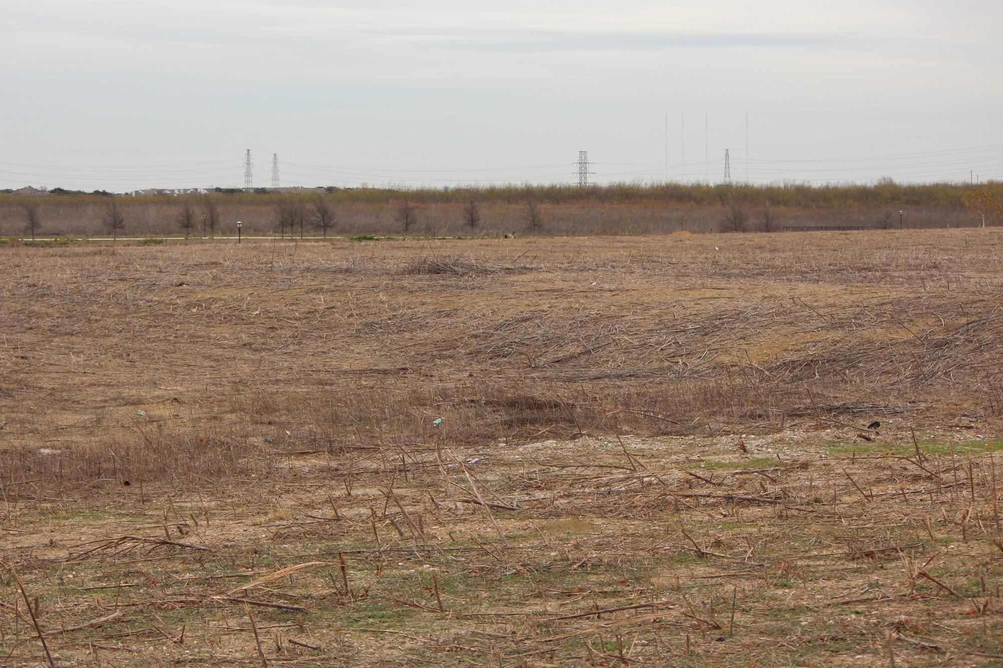 Much of the land in northern Cypress Waters is not developed as the project continues its steady pace. North Lake and the bordering Cypress Waters development carry a complex history involving construction and controversy.