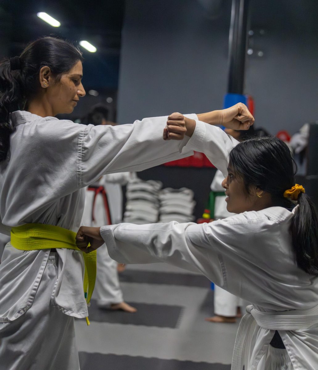 experience w_taekwondo_1_22_2026_ravella
