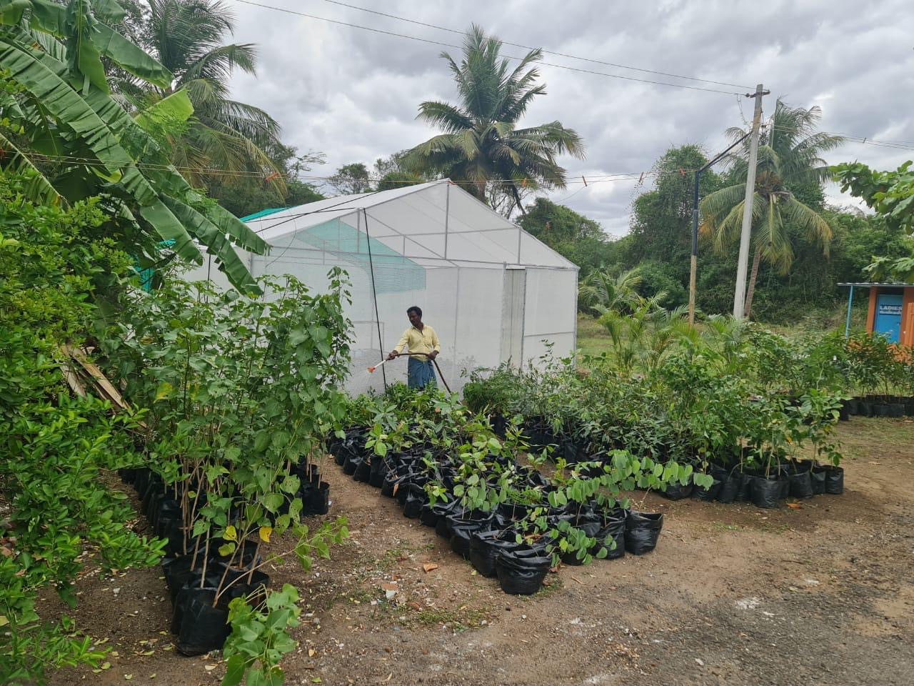 Mann Nalam raised more than $250 to fund an organic community garden in Chennai, Tamil Nadu. Nandakumar continues her grandfather N.S. Palanisamy’s legacy of advocating for farmers facing unfair treatment in South India. Photo courtesy Iniya Nandakumar.