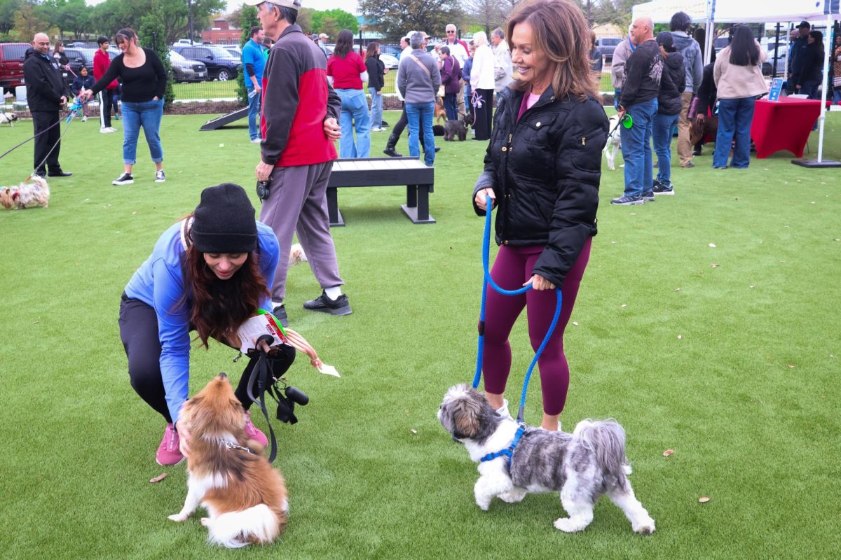 Coppell dog owners Mara Gianini and Leslie Mylan share a conversation at the opening of Pooch’s Bark Park on Saturday. Pooch’s Bark Park, formally Waggin’ Tails Dog Park, reopens after being closed for renovations since June 16.